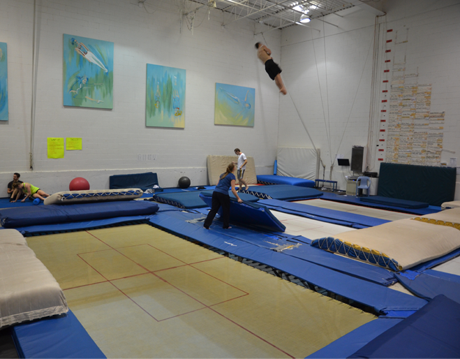 Supertramp rebounder online
